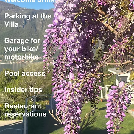Bed and Breakfast Monte Bianco 3*