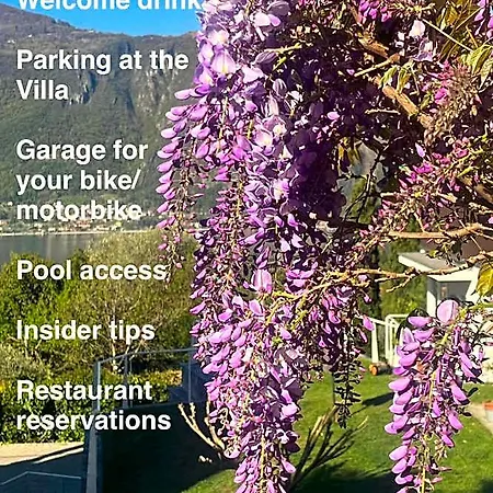 Monte Bianco Bed & Breakfast Mandello del Lario