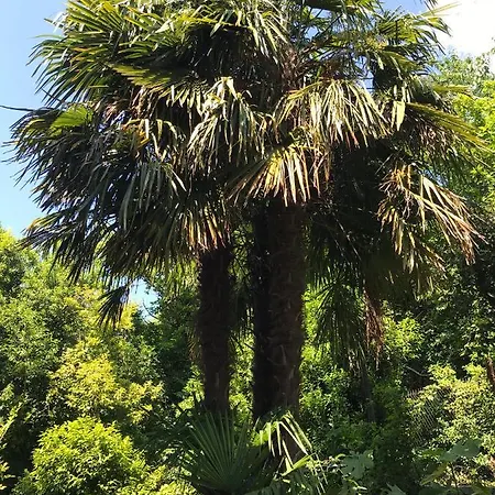 לינה וארוחת בוקר Monte Bianco מנדלו דל לאריו