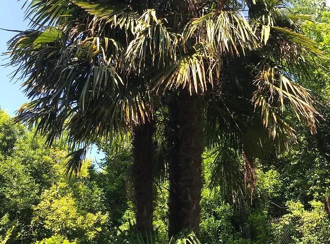 Oda ve Kahvaltı Monte Bianco Mandello del Lario